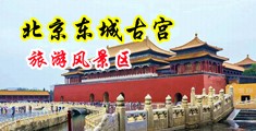 插进小穴高潮视频中国北京-东城古宫旅游风景区